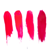 Tammy Taylor Nails All You Need Is Red ENTIRE Collection Bundle B5-TS0F-2VFG