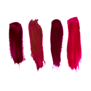 Tammy Taylor TTN Paint The Town Burgundy Nail Lacquer Bundle LCPT