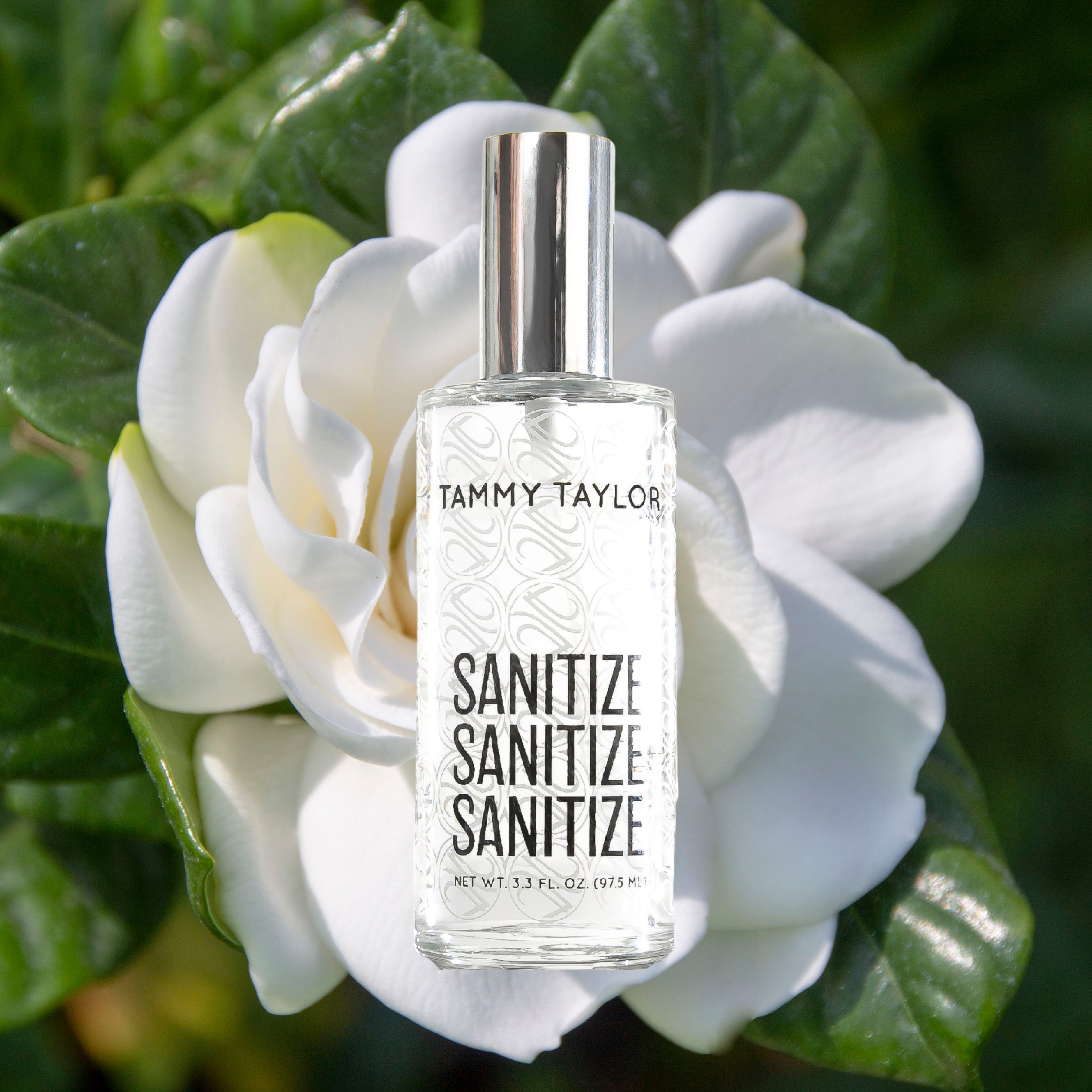 Tammy Taylor | Glass Spray Sanitize | Sanitize