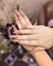 Tammy Taylor | Sheer Nude Mocha Gelegance Gel Polish | bundle