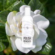 Tammy Taylor | Polish Remover | Polish Remover