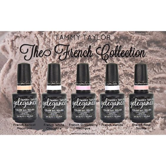 Tammy Taylor | French Collection ENTIRE Collection Bundle | bundle