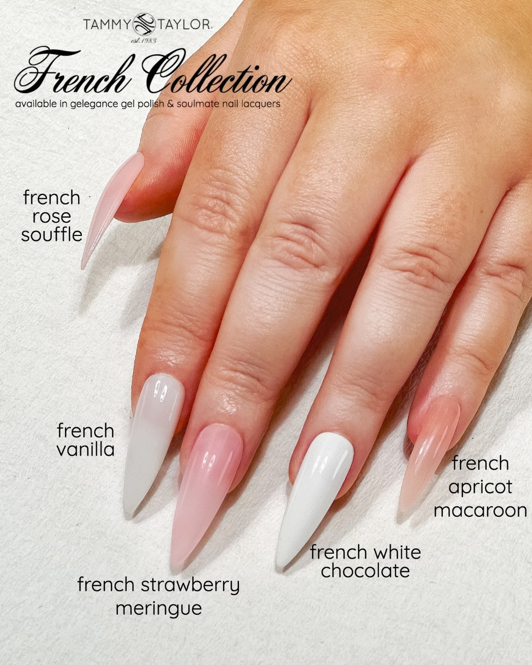 Tammy Taylor | French Collection ENTIRE Collection Bundle | bundle