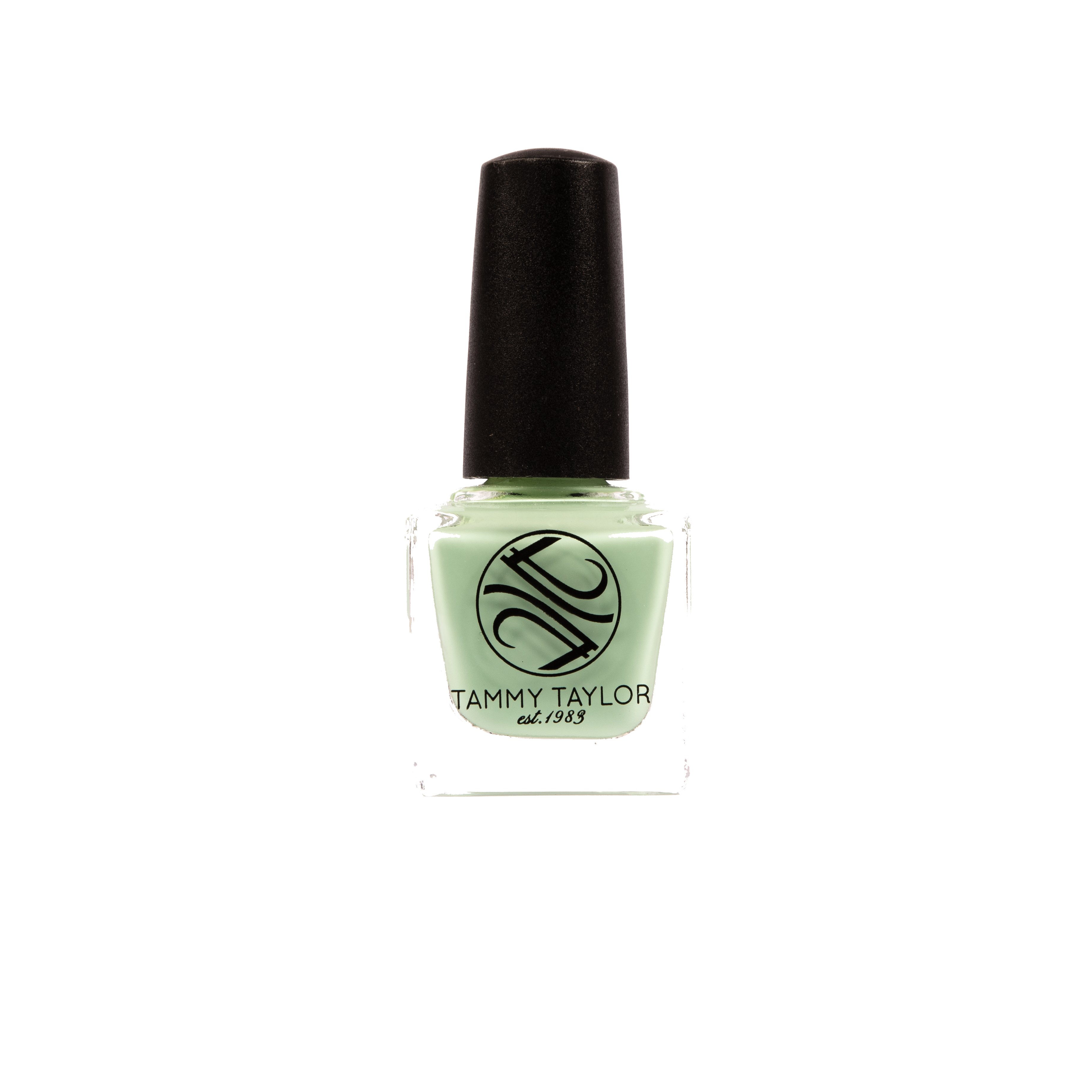 Mint To Be Nail Lacquer