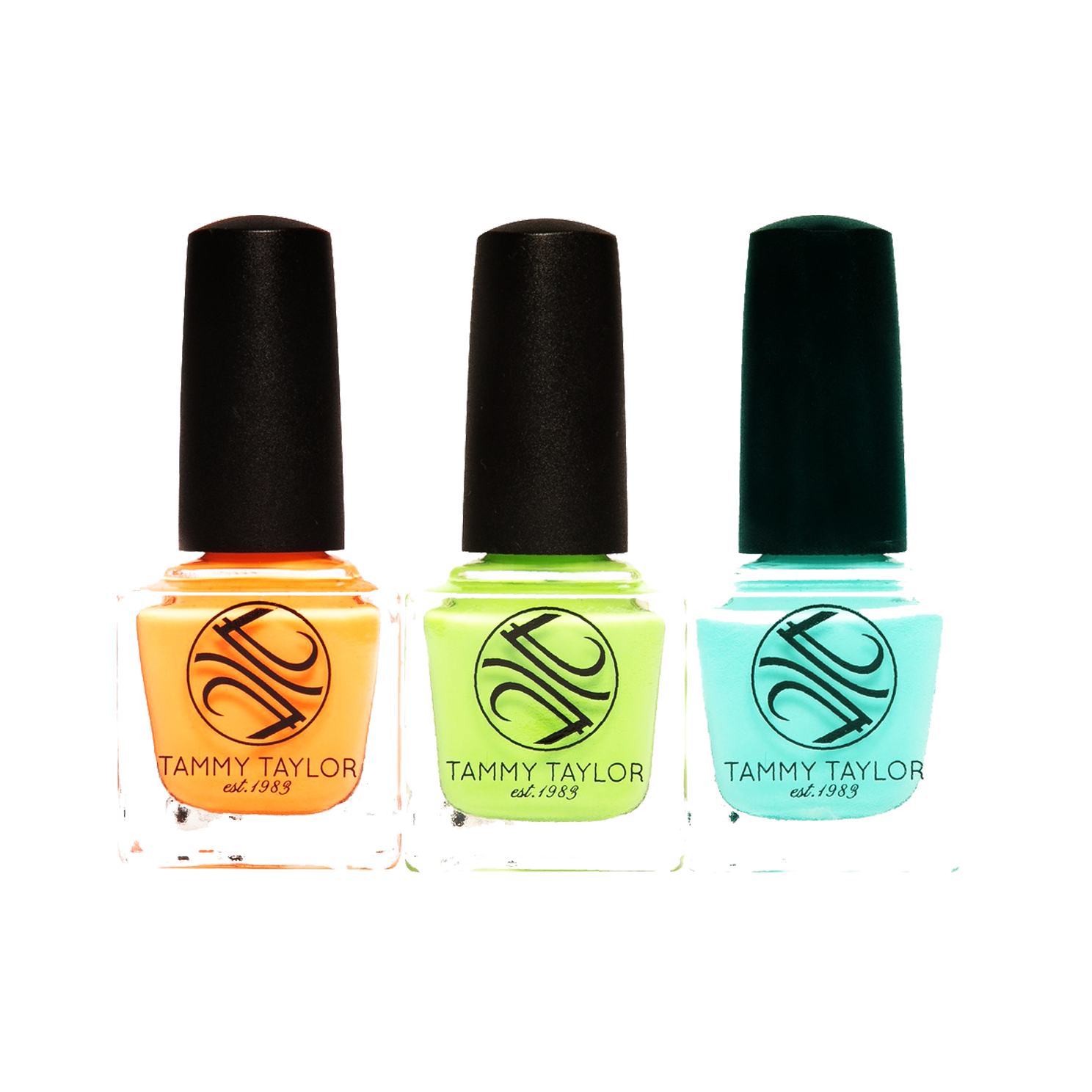 In Love with Summer Nail Lacquer Bundle