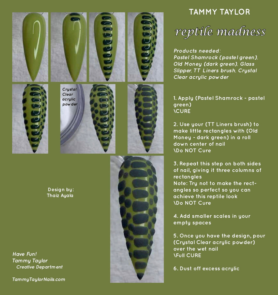 Reptile Madness Step by Step Bundle