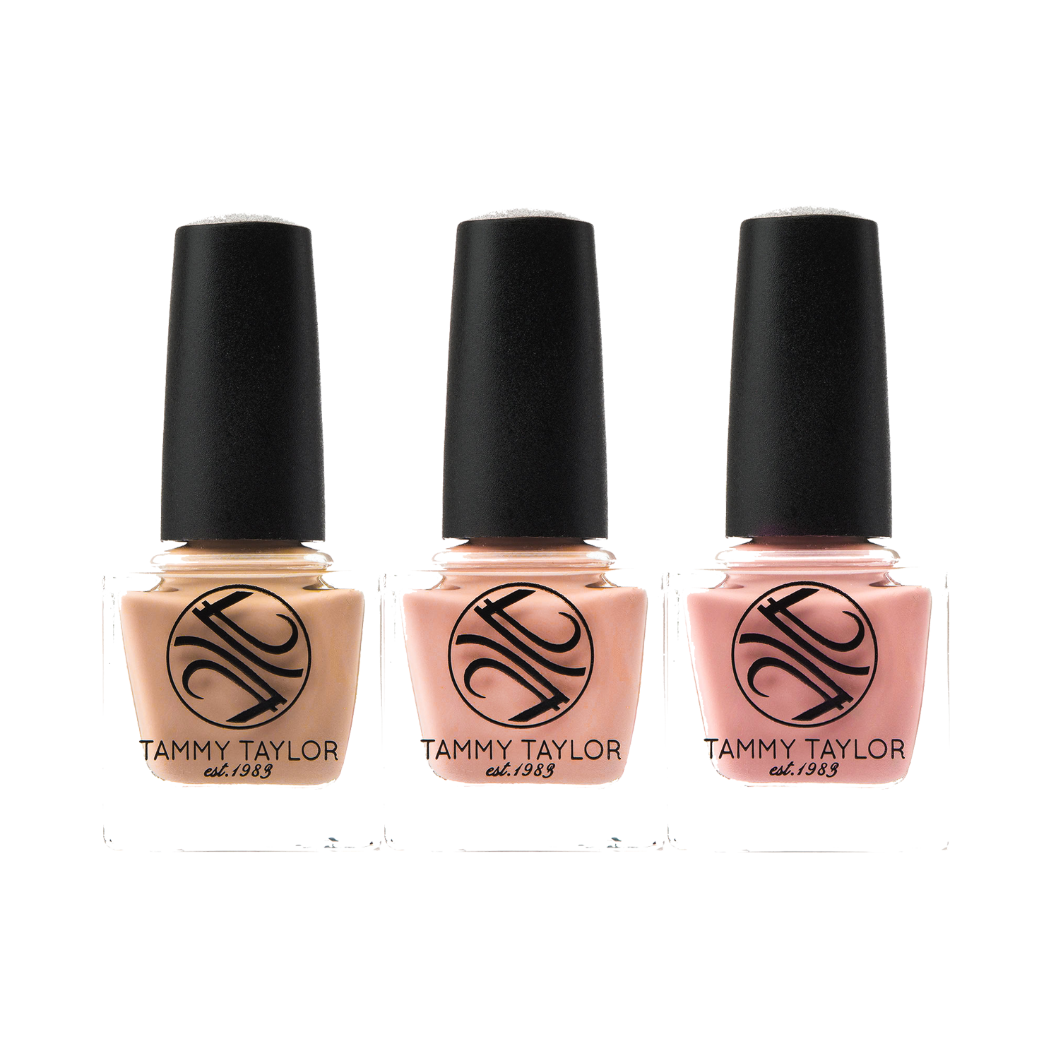 Tammy Taylor | Sheer Nude French Nail Lacquer Bundle | bundle